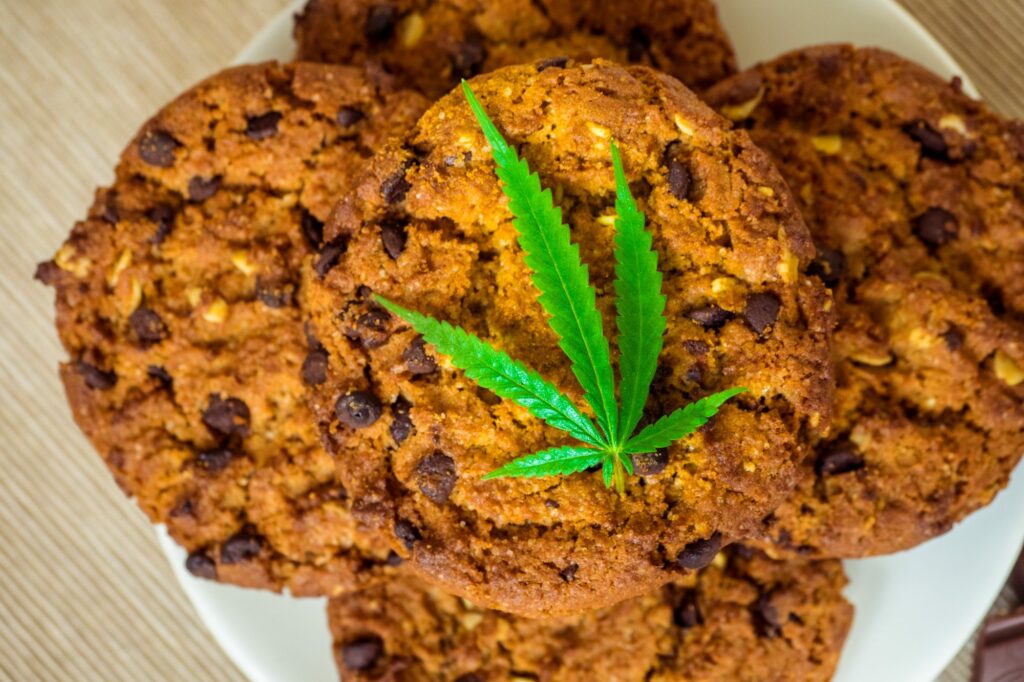 4 Must-Try Fall CBD Recipes