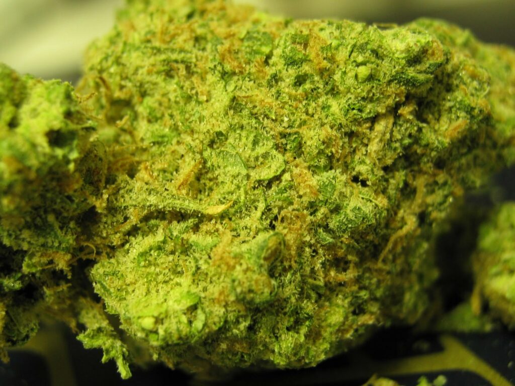 Nice Cherry Marijuana Strain